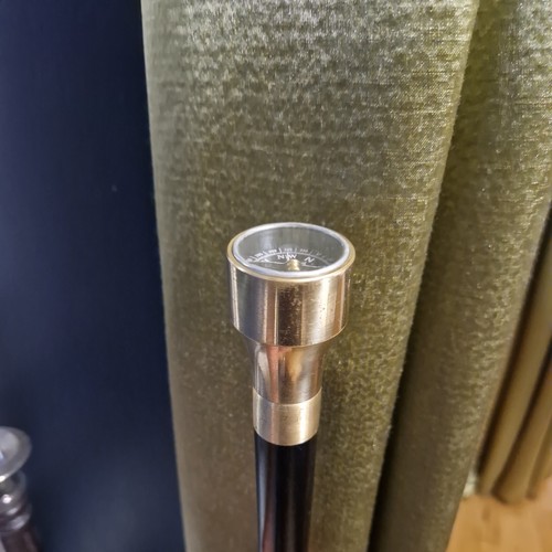 Vintage ebonised walking stick - vintage,