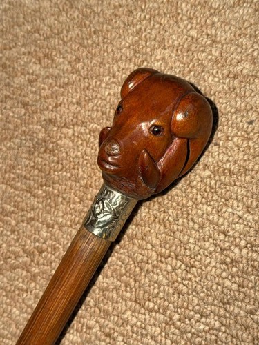 Antique walking stick cane - walking,
